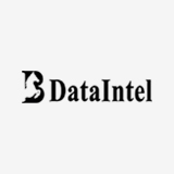 dataintel