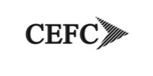 Blackcoffer Business partners:CEFC